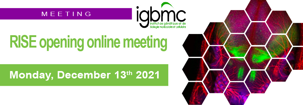 RISE opening meeting 13th December 2021 IGBMC